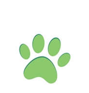 Booklyn Cares Veterinary Hospital and Dental Clinic is Open