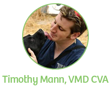 Timothy Mann, VMD CVA